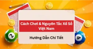 Cách chơi & Nguyên tắc
